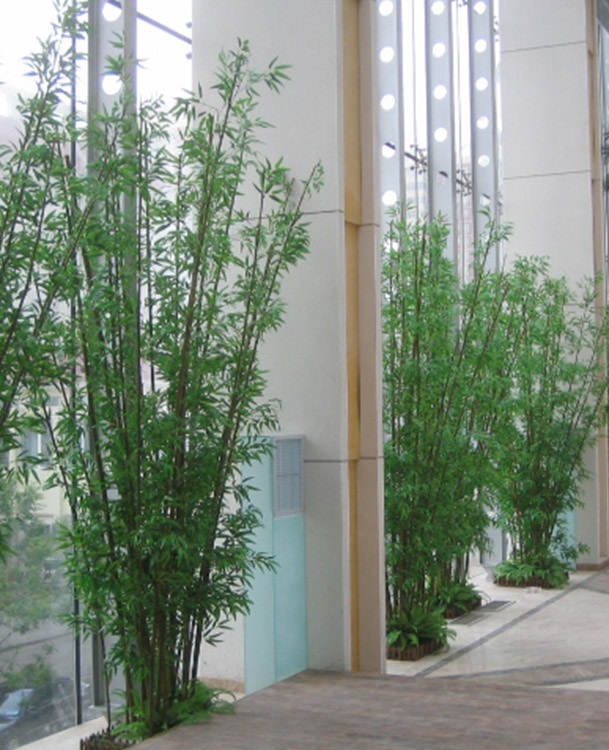 Yapay Bambu