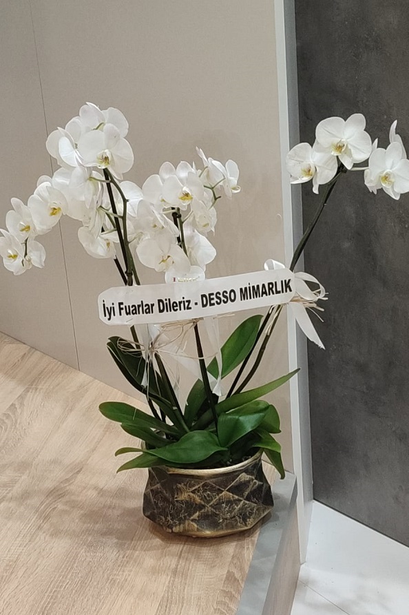  ,tuyap-fuar-orkide-s,paris
