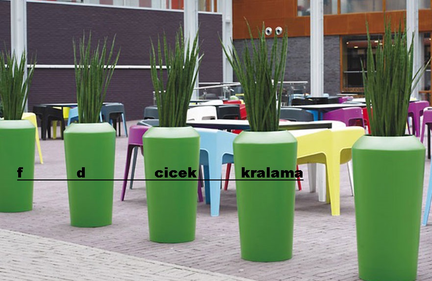 sanseverya-kilic-bitki