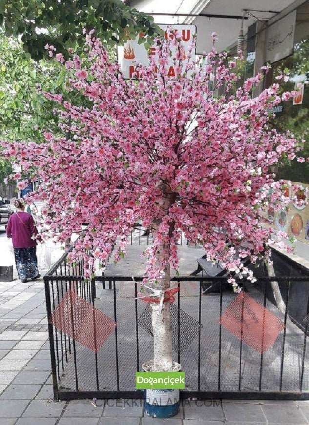  ,buyuk-pembe-aac